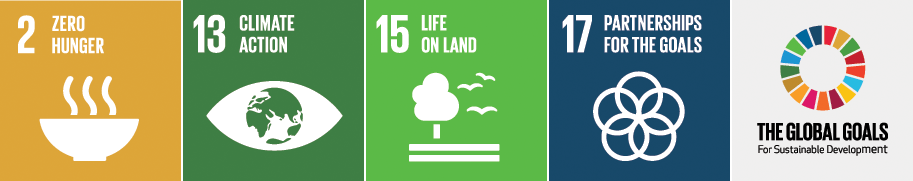 UN Sustainability Goals